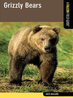 cover image of Grizzly Bears